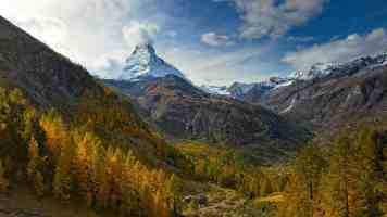 火山引擎谭待：豆包还是会保持免费，专业版办公任务模式搭载 2.1 Pro 模型