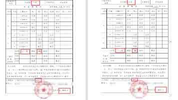 《哪吒之魔童闹海》西班牙首映千人观影