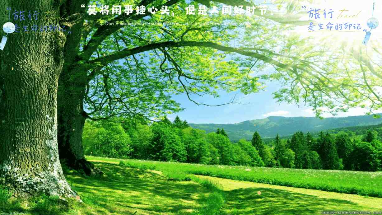 高清码网站欧美资源避坑与实用指南