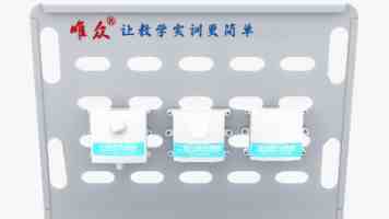 山东青岛：走进面食世界