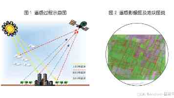 人人爱人人摸 - 温暖治愈的社交新潮流与参与指南